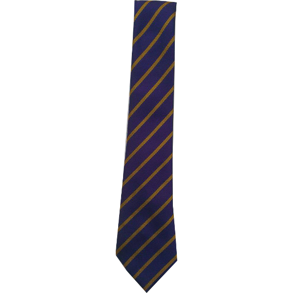 Tinto Primary Tie STANDARD